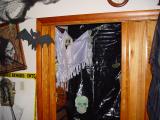 DSC00234.jpg