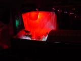 DSC00250.jpg