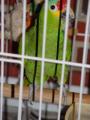 DSC00270r.jpg